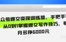 公众号爆文变现训练营，手把手教你，从0到1掌握爆文写作技巧，每个月多挣6000元