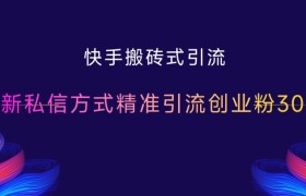 快手搬砖式引流，最新私信方式精准引流创业粉300+
