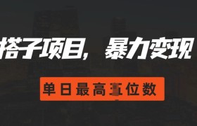 2024搭子玩法，0门槛，暴力变现，单日最高破四位数
