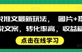 小说推文最新玩法， 图片+搭配小说文案，转化率高，收益稳定