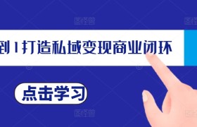 从0到1打造私域变现商业闭环，私域变现操盘手，私域IP打造