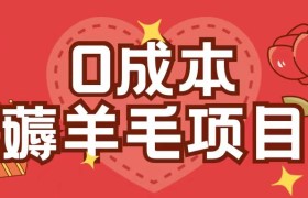 0成本，薅羊毛玩法一分钱不花一部手机即可操作单机1个小时30+