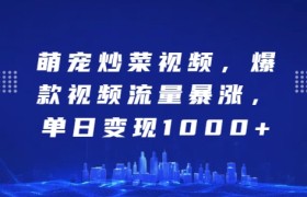 萌宠炒菜视频，爆款视频流量暴涨，单日变现1k