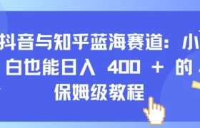 抖音与知乎蓝海赛道：小白也能日入 4张 的保姆级教程