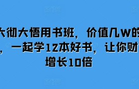 大彻大悟用书班，价值几W的课，一起学12本好书，让你财富增长10倍