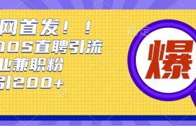 通过Boss直聘，每天轻松钓到200+多条创业大鱼的秘籍
