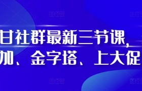 阿甘社群最新三节课，叠加、金字塔、上大促