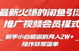 闲鱼引流推广影视会员，0成本就可以操作，新手小白月入过W+