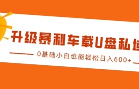 升级暴利车载U盘私域玩法，0基础小白也能轻松日入多张
