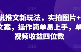 小说推文新玩法，实拍图片+小说文案，操作简单易上手，单条视频收益四位数