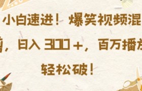 小白速进，爆笑视频混剪，日入3张，百万播放轻松破