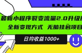 最新小程序升级版项目，全新变现方式，小白轻松上手，日均稳定1k