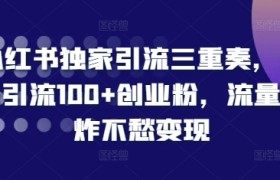 小红书独家引流三重奏，当天引流100+创业粉，流量爆炸不愁变现