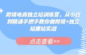 跨境电商独立站训练营，从小白到精通手把手教你做跨境+独立站建站实战