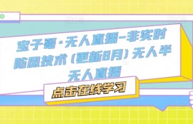 宝子哥·无人直播-非实时防风技术(更新11月)无人半无人直播