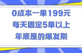 人人都需要的东西0成本一单199元每天固定5单以上年底是的爆发期