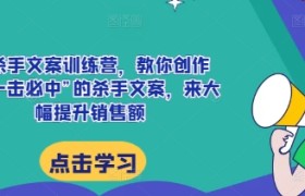 AI杀手文案训练营，教你创作出“一击必中”的杀手文案，来大幅提升销售额