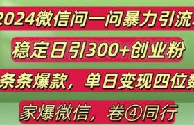 2024最新微信问一问暴力引流300+创业粉,条条爆款单日变现四位数