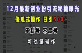12月最新创业粉引流秘籍曝光 傻瓜式操作 日引500+ 不封号 不废号 可批量操作