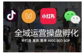 全域运营操盘(抖音+私域+小红书)，IP打造高效简单