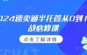 2024速卖通半托管从0到1实战必修课，掌握通投广告打法、熟悉速卖通半托管的政策细节