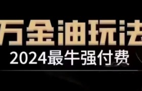 2024最牛强付费，万金油强付费玩法，干货满满，全程实操起飞（更新12月）