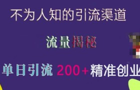 不为人知的引流渠道，流量揭秘，实测单日引流200+精准创业粉