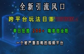全新引流风口，跨平台玩法日入上k，单日狂揽200+精准创业粉，一个被严重忽略的视频平台