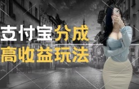 支付宝分成计划新玩法，利用交通事故视频，赚收益，轻松月入过W，操作简单