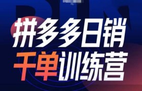 拼多多日销千单训练营第31期-微付费带免费流玩法