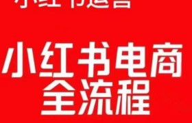 红薯电商实操课，小红书电商全流程