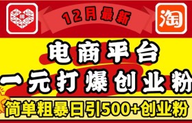 12月最新：电商平台1元打爆创业粉，简单粗暴日引500+精准创业粉，轻松月入过W