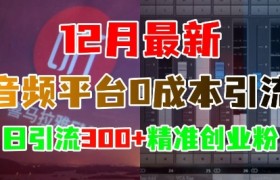 12月最新：音频平台0成本引流，日引流300+精准创业粉