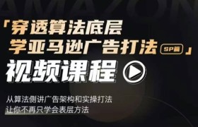穿透算法底层，学亚马逊广告打法SP篇，从算法侧讲广告架构和实操打法，让你不再只学会表层方法