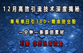 最新高效引流技术深度揭秘 ，单号单日引300+精准创业粉，一分钟一条原创素材，引爆你的私域流量