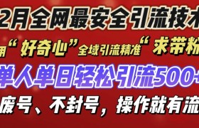 12 月份全网最安全引流创业粉技术来袭，不封号不废号，有操作就有流量