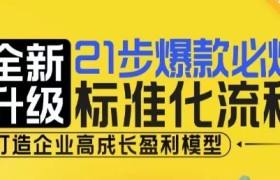 21步爆款必爆标准化流程，全新升级，打造企业高成长盈利模型