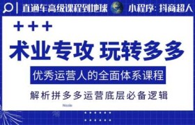术业专攻玩转多多，优秀运营人的全面体系课程，解析拼多多运营底层必备逻辑