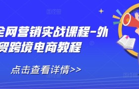 外贸全网营销实战课程-外贸跨境电商教程