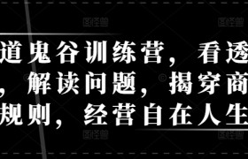 天道鬼谷训练营，看透规律，解读问题，揭穿商业规则，经营自在人生
