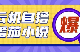 首发云手机自撸小说玩法，10块钱成本可撸200+收益操作简单