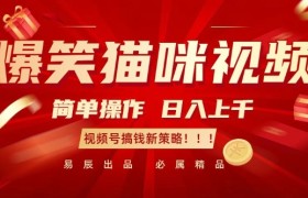 爆笑猫咪视频：简单操作，日入过K，视频号搞钱新策略