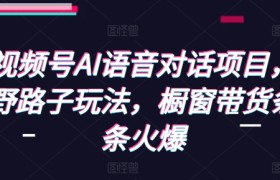 视频号AI语音对话项目，野路子玩法，橱窗带货条条火爆