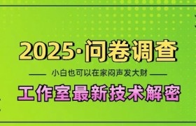 2025问卷调查最新工作室技术解密：一个人在家也可以闷声发大财，小白一天2张，可矩阵放大