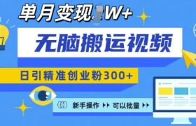 无脑搬运视频号可批量复制，新手即可操作，日引精准创业粉300+，月变现过W