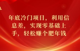 年底冷门项目，利用信息差，实现零基础上手，轻松赚个肥年钱