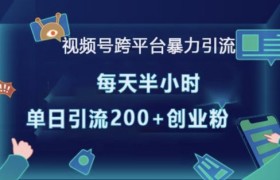 视频号跨平台暴力引流，每天半小时，单日引流200+精准创业粉