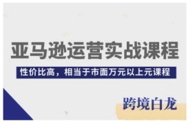 亚马逊运营实战课程，亚马逊从入门到精通，性价比高，相当于市面万元以上元课程