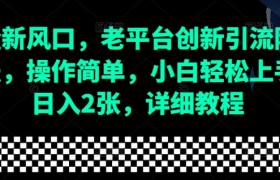 流量新风口，老平台创新引流隐藏玩法，操作简单，小白轻松上手，日入2张，详细教程