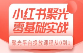 小红书聚光零基础实战，聚光平台投放课程从0到1